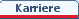 Karriere